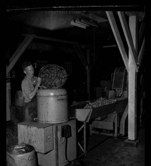 Stacks Image 142864